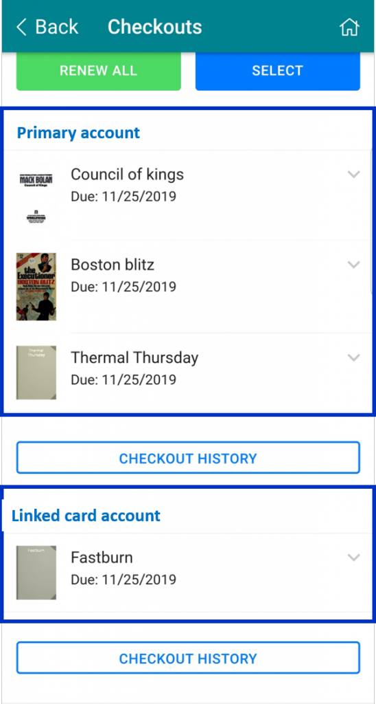 Primary card and linked card checkouts