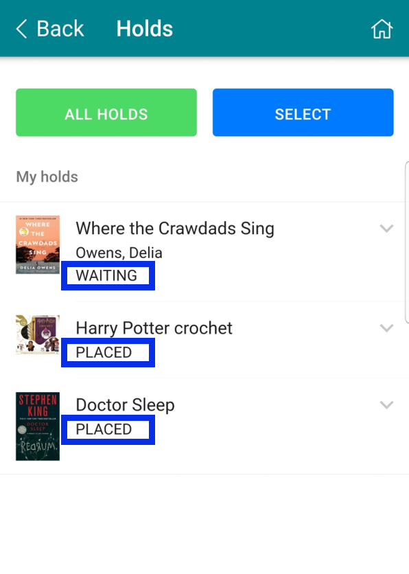 See hold status under the item title
